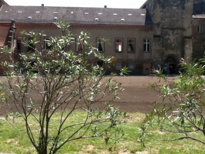 照片: Schloss-Schenke